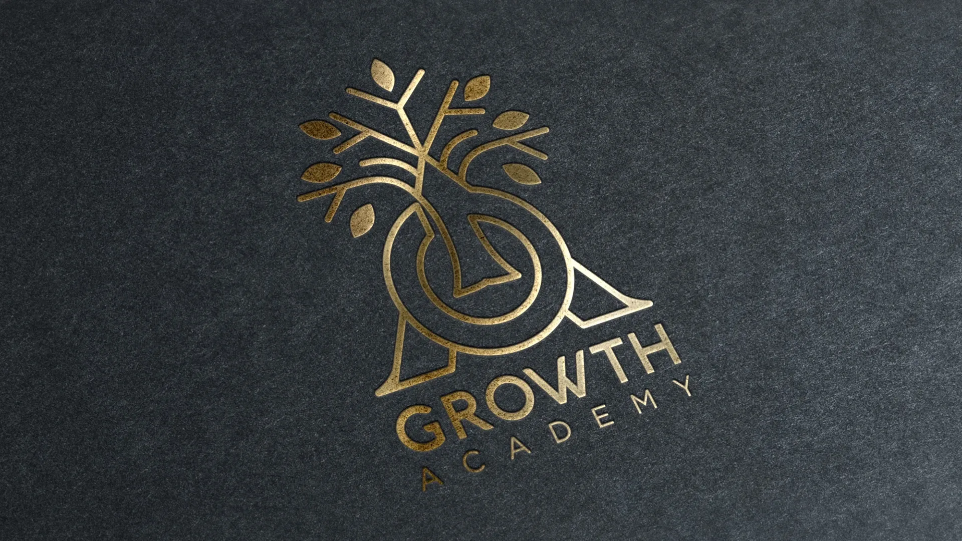 Growth Academy, Vizuelni identitet