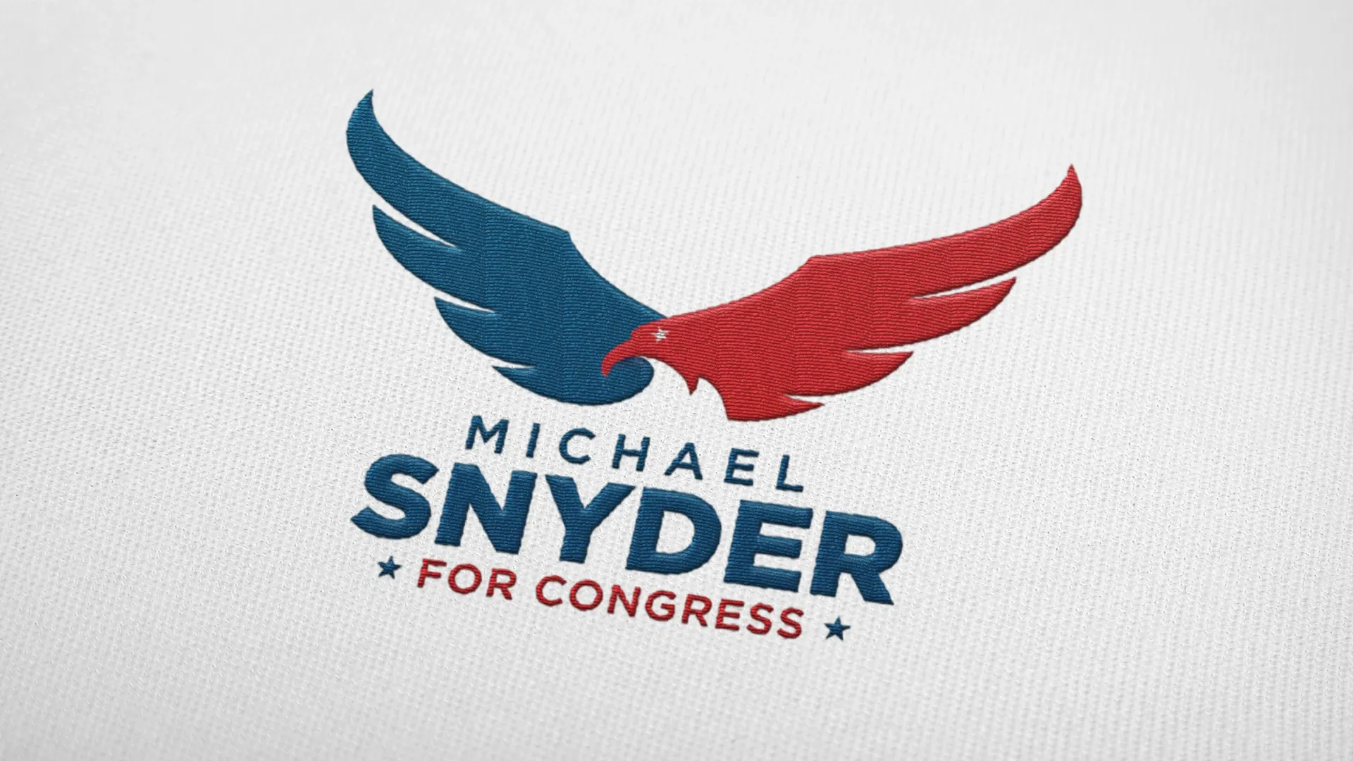 Michael Snyder for Congress, Vizuelni identitet