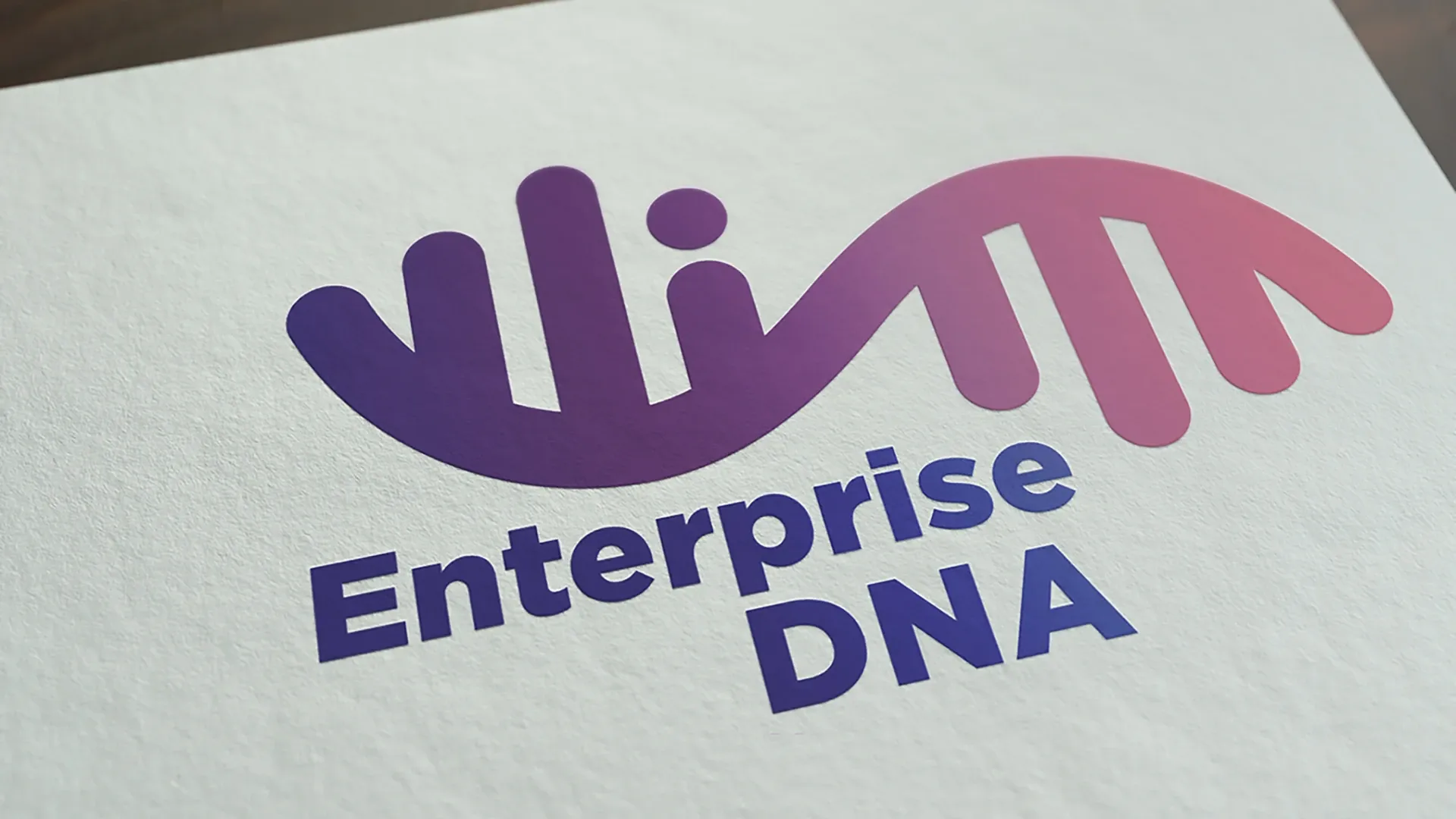 Enterprise DNA, Vizuelni identitet