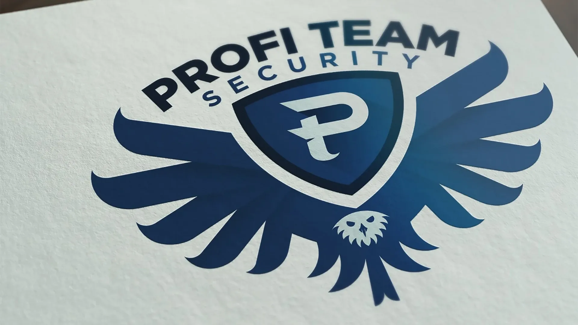 Profi Team Security, Vizuelni identitet