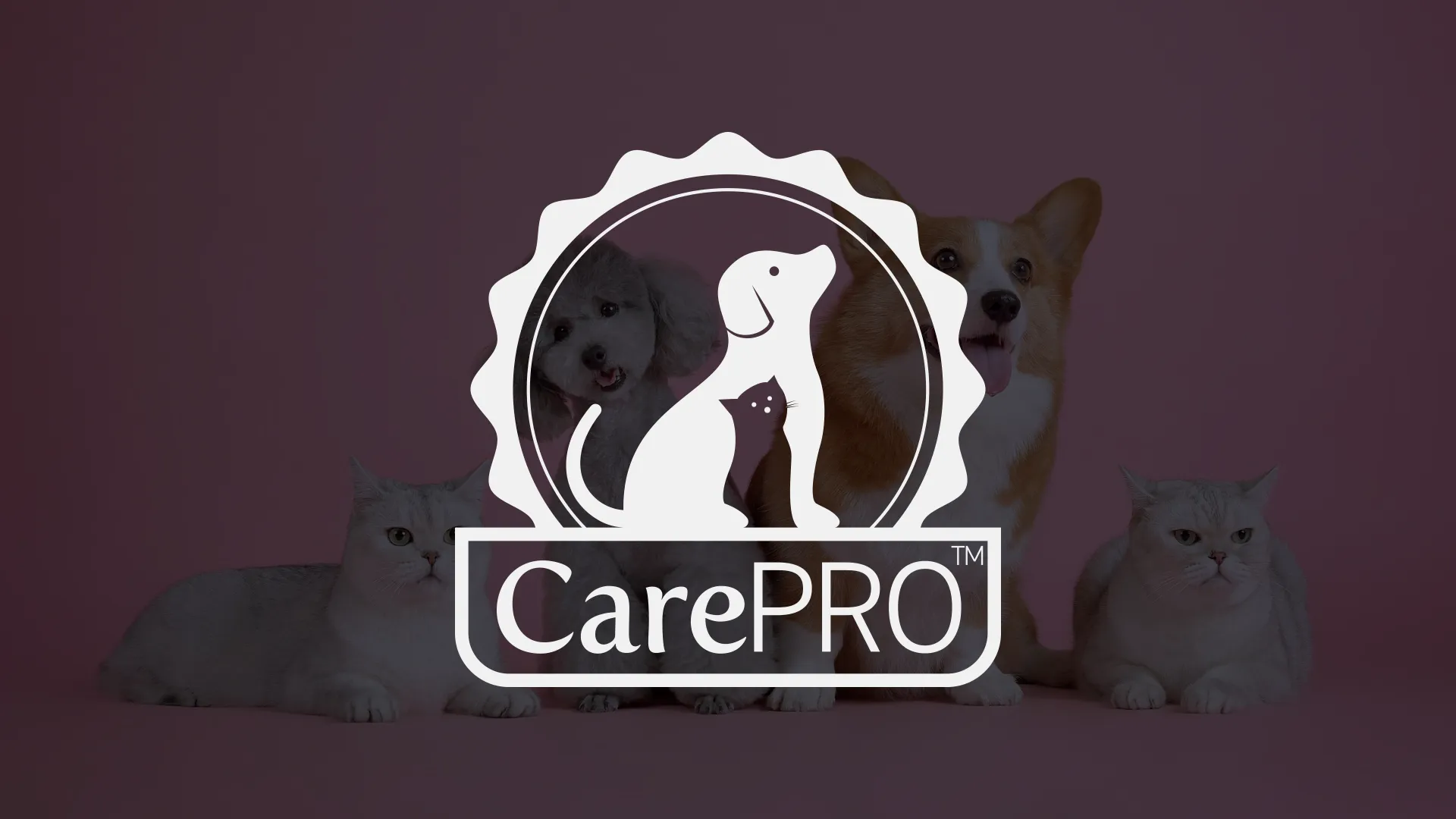 CarePRO Pet Nutrition, Ambalaža